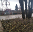 SAVE_20210329_105614 - Газета Апшеронский рабочий