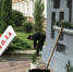 IMG-8851 - Газета Апшеронский рабочий