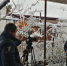 В Апшеронске прошли съемки сюжетов для программы «Доброе утро» Первого канала - Газета Апшеронский рабочий