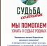 Общественная приемная «Судьба солдата» откроется в станице Куринской - Газета Апшеронский рабочий