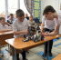 Пять школ Апшеронского района приняли участие в третьих городских соревнованиях по робототехнике «Лучшая идея 2024» - Газета Апшеронский рабочий