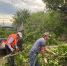 В Хадыженске продолжаются работы по благоустройству города - Газета Апшеронский рабочий