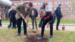 Сосновая аллея в память об участниках СВО высажена на территории апшеронской школы №18