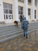 Полицейские Апшеронского района обеспечили охрану общественного порядка в День Матери