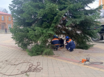 Городские елки заняли свои места в центральном сквере Апшеронска и на площади ОЭЗ