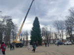 Городские елки заняли свои места в центральном сквере Апшеронска и на площади ОЭЗ