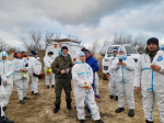 Очередная группа Апшеронского района сегодня с утра заехала в Анапу на пляж Витязево на сбор нефтепродуктов