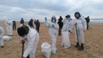 Очередная группа Апшеронского района сегодня с утра заехала в Анапу на пляж Витязево на сбор нефтепродуктов