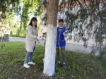 Педагоги и воспитатели вышли сегодня на общегородской субботник
