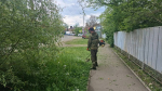 Казаки принимают участие в борьбе с сорной растительностью в Апшеронске