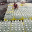 Апшеронские казаки отправили в зону СВО 8 поддонов воды - Газета Апшеронский рабочий