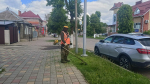 Будни Апшеронска: благоустройство продолжается