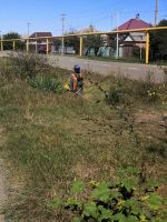В Апшеронске завершили ремонт сцены, продолжаются работы по освещению и уборке улиц