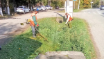 С начала недели в Апшеронске проделан большой объем работы по благоустройству