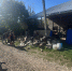 photo_1_2025-10-18_18-13-43 - Газета Апшеронский рабочий