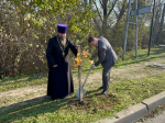 «Сохраним лес» — такая акция прошла сегодня в Апшеронске