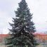 IMG_20251215_141050 - Газета Апшеронский рабочий