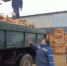 Сегодня в Апшеронске матери участника СВО безвозмездно привезли дрова - Газета Апшеронский рабочий