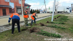 В Апшеронске озеленили въезд в город