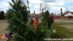 В Апшеронске озеленили въезд в город