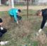 Экологический субботник в хуторе Калинине прошел по инициативе молодых активистов партии «Новые люди» - Газета Апшеронский рабочий