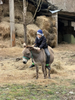 Апшеронский Казачий кордон принимал гостей из Майкопа