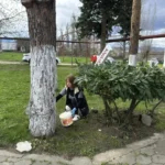 В минувшие выходные в Нефтегорском поселении прошли субботники