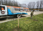 В Апшеронске высадили саженцы в ходе акции «Сад памяти»
