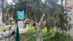 Скверик Апшеронских журналистов облагородили студенты