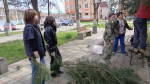 Скверик Апшеронских журналистов облагородили студенты