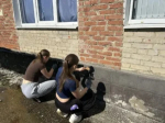 В школе №28 посёлка Новые Поляны провели субботник