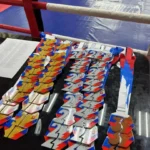 В спорткомплексе «Медведь» Апшеронска состоялся турнир по кикбоксингу