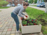В Апшеронске стартовала весенняя кампания по озеленению улиц