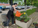 В Апшеронске стартовала весенняя кампания по озеленению улиц