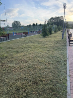 Предприниматели и активная молодежь посёлка Новые Поляны организовали субботник на Аллее памяти