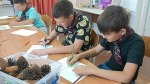 Реализация дополнительной общеобразовательной программы «ЭКО-ШАГИ» стартовала в Апшеронском лесхоз-техникуме