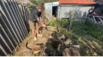 Активная молодежь Апшеронска помогла семье участника СВО