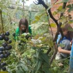 Молодёжь Апшеронского района приходит на помощь
