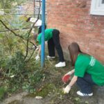 Молодёжь Апшеронского района приходит на помощь